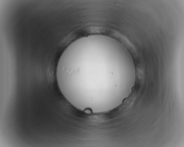 X0000102310422200808081611