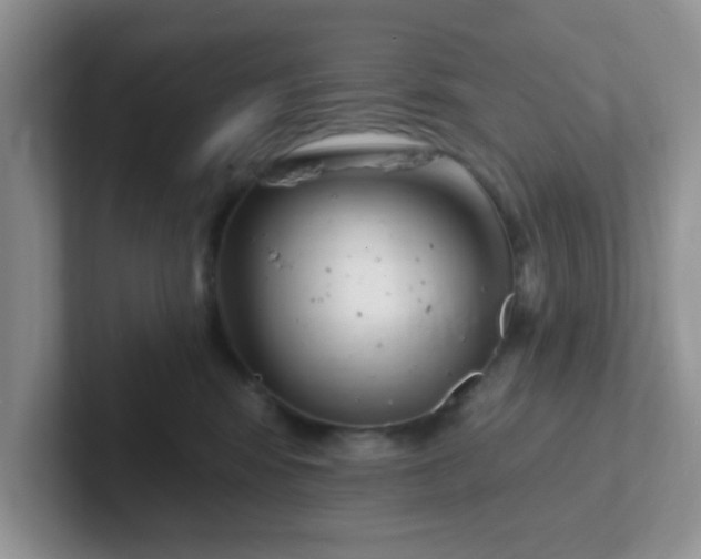 X0000102310424200808081611