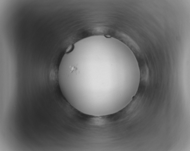 X0000102310425200808081611