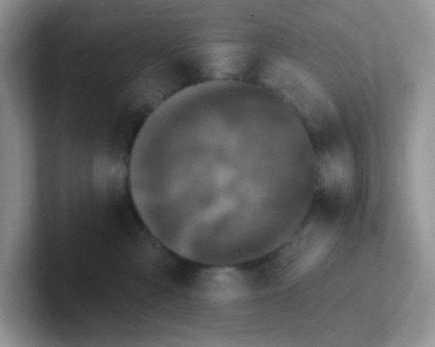 X0000102310427200808081611