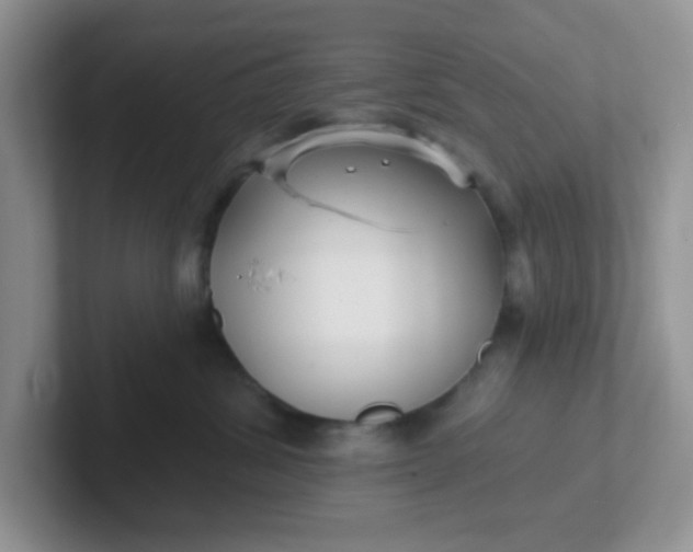 X0000102310428200808081611