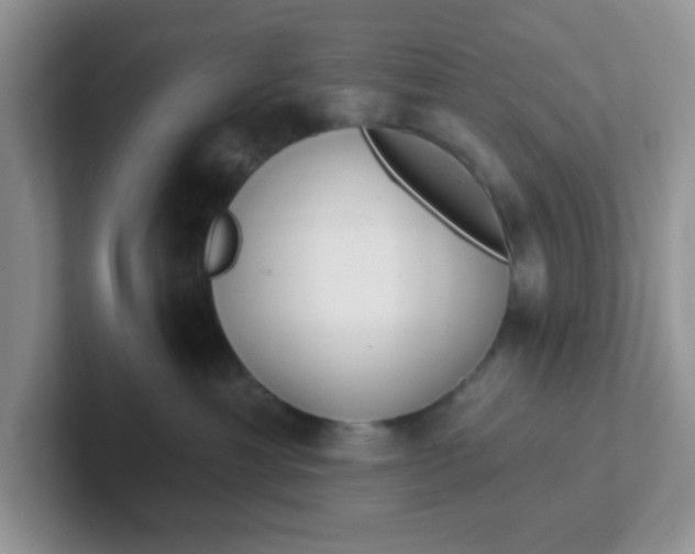 X0000102310429200808081611