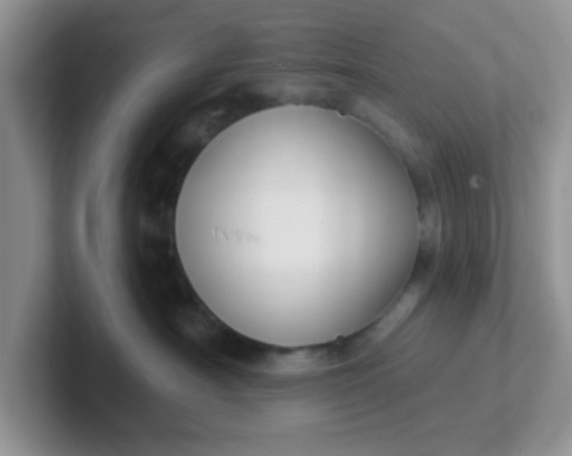 X0000102310430200808081611