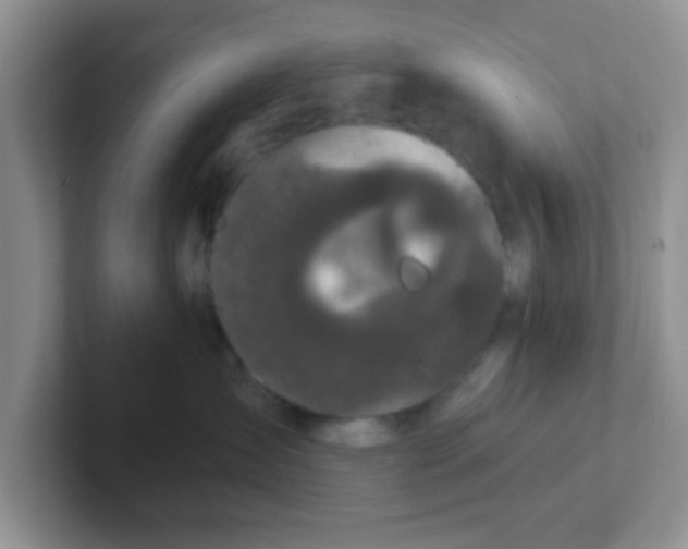 X0000102310431200808081611