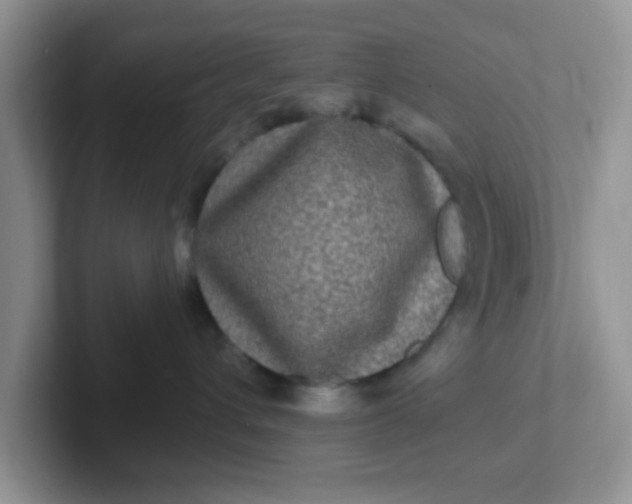 X0000102310432200808081611