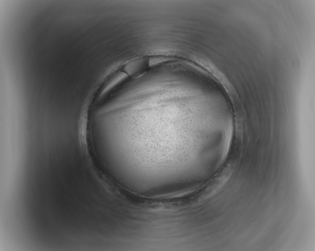 X0000102310434200808081610