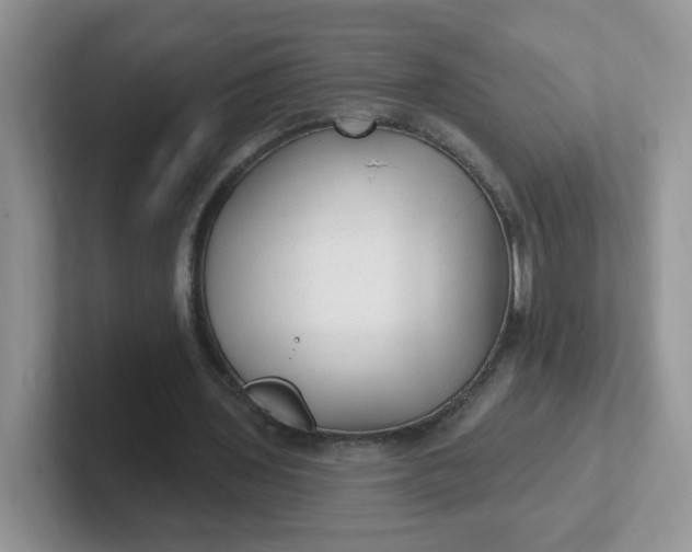 X0000102310435200808081610