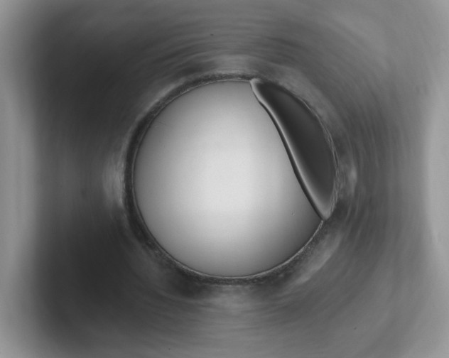 X0000102310436200808081610