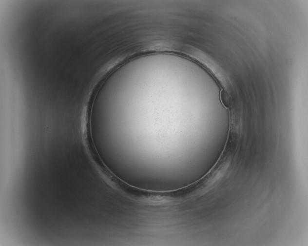 X0000102310437200808081610