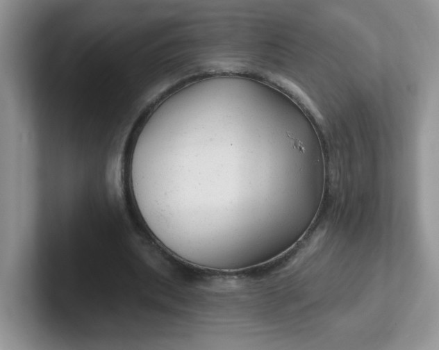 X0000102310439200808081610