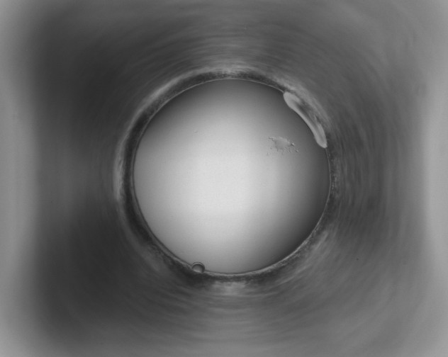 X0000102310440200808081610