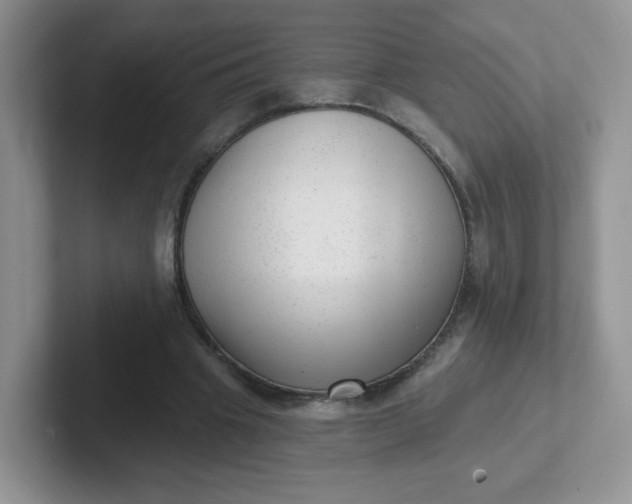 X0000102310441200808081610