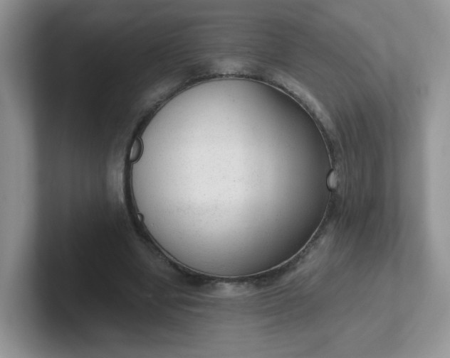 X0000102310442200808081610