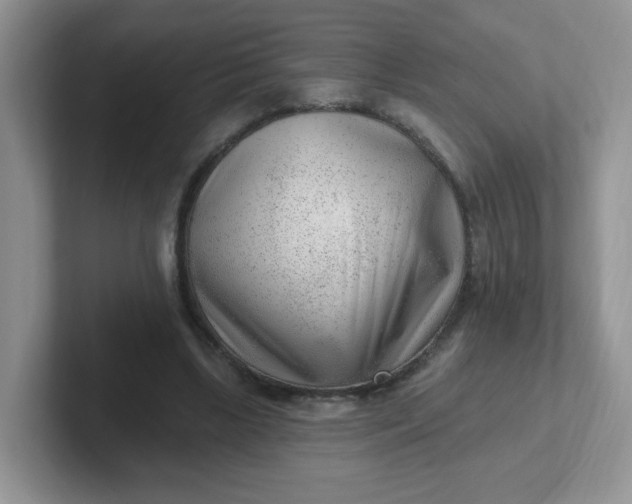 X0000102310443200808081610