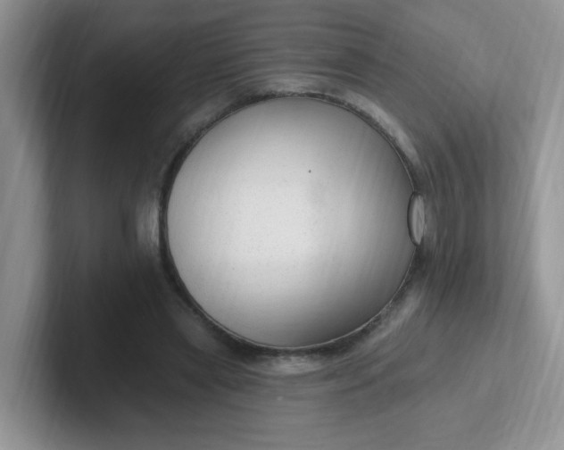 X0000102310445200808081610