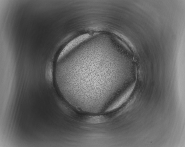 X0000102310446200808081610