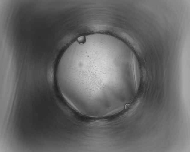 X0000102310447200808081610