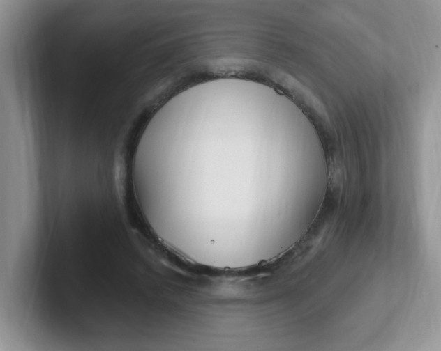 X0000102310448200808081610