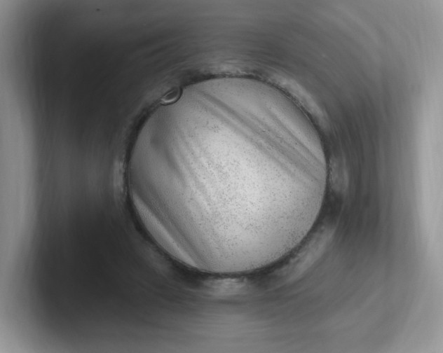 X0000102310449200808081610