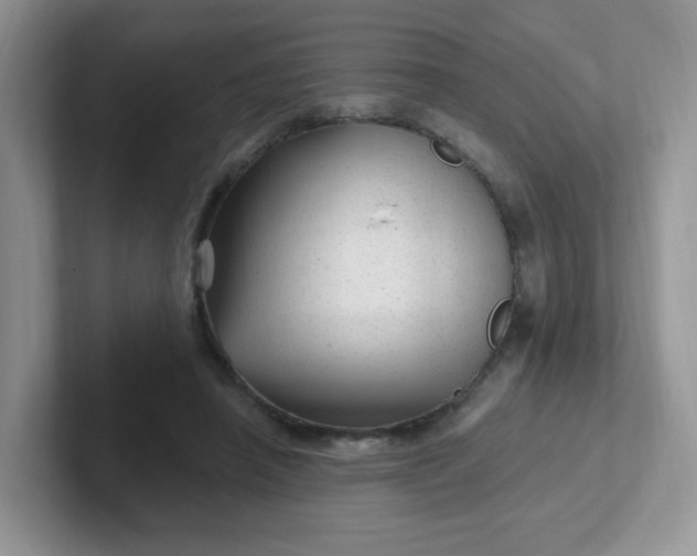 X0000102310450200808081610