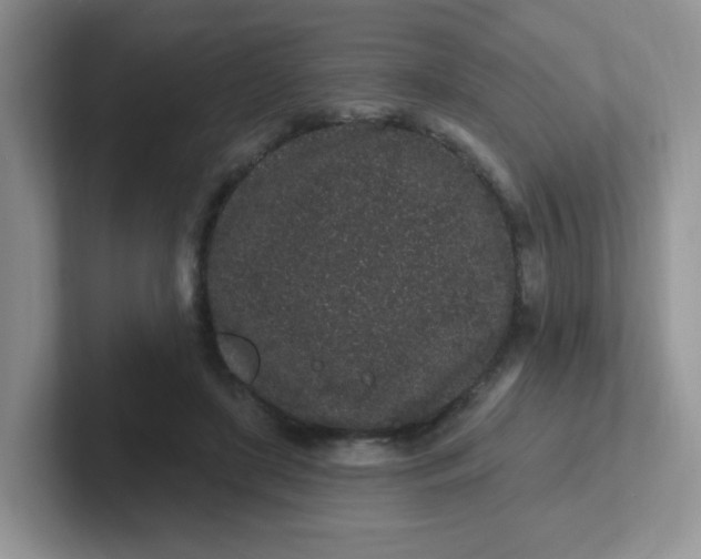 X0000102310451200808081610