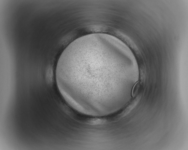 X0000102310453200808081610