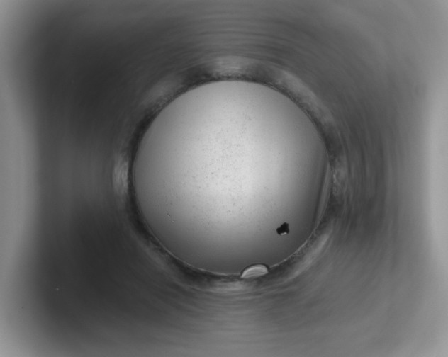 X0000102310454200808081610