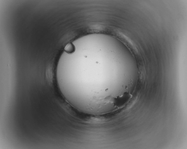 X0000102310455200808081610