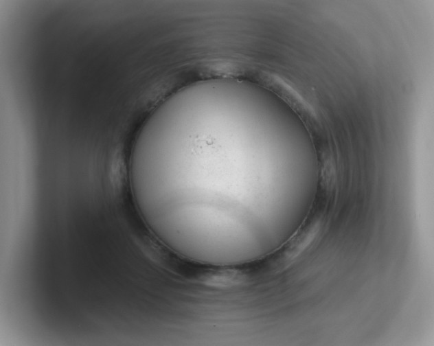 X0000102310459200808081610