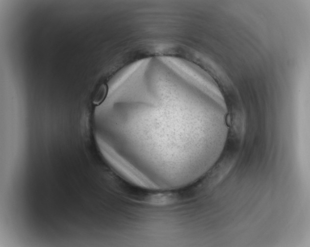 X0000102310461200808081610