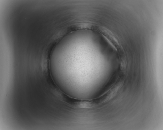 X0000102310462200808081610