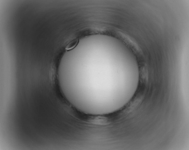 X0000102310463200808081610