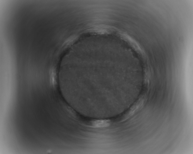 X0000102310465200808081610