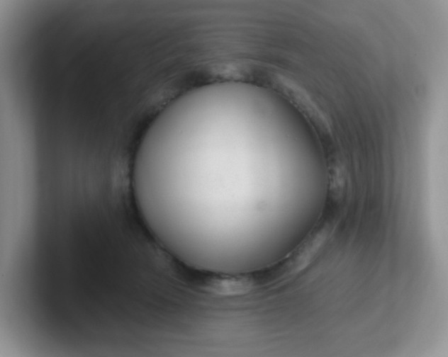 X0000102310466200808081610