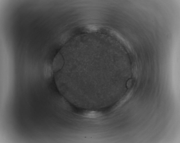 X0000102310467200808081611