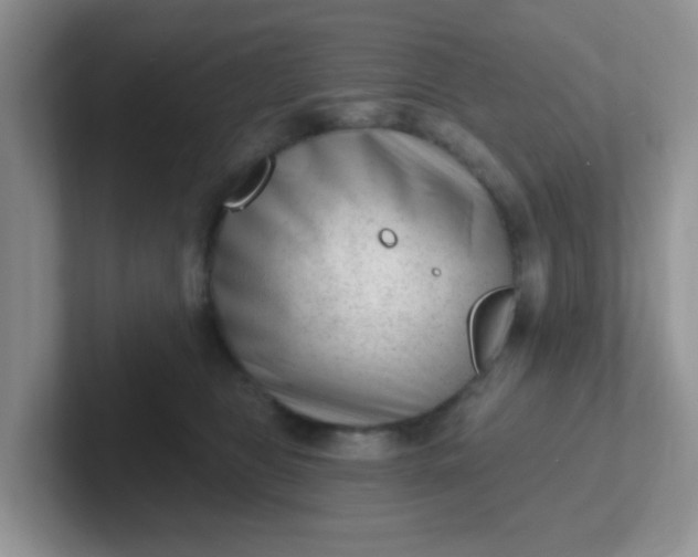 X0000102310469200808081611