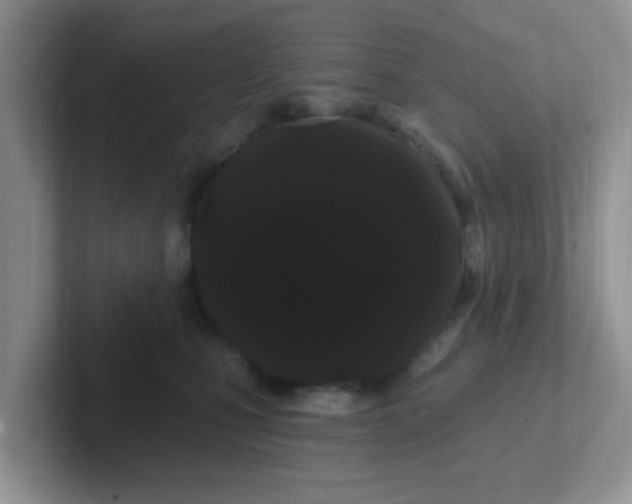 X0000102310471200808081611