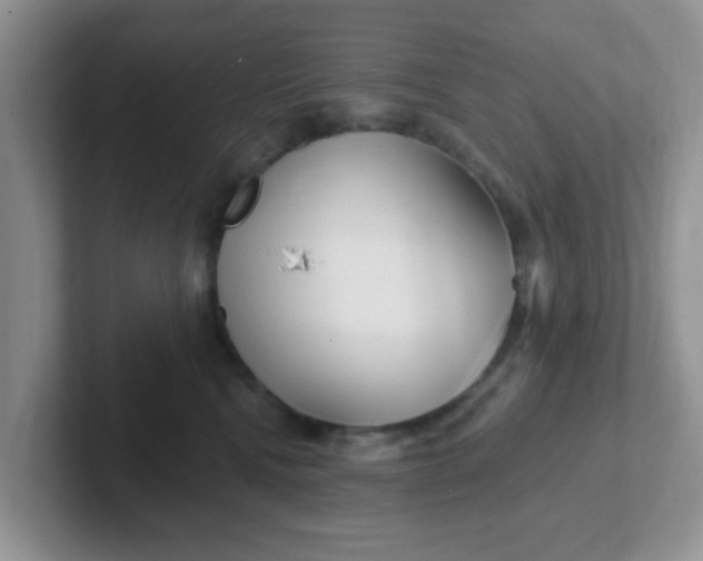 X0000102310472200808081611