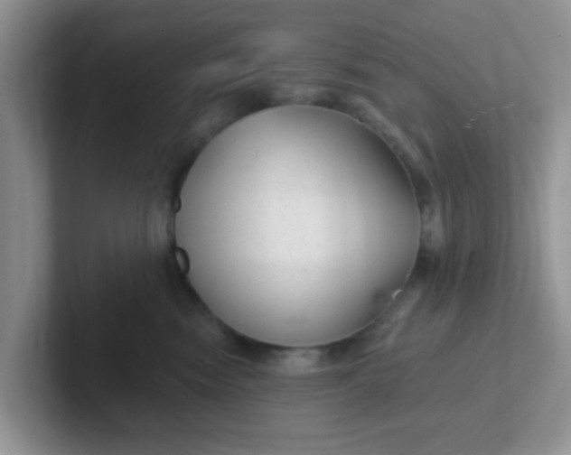 X0000102310474200808081611