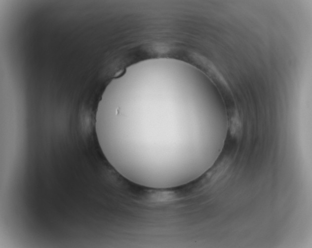 X0000102310476200808081611