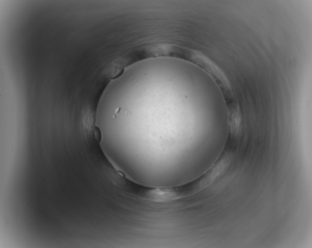 X0000102310477200808081611