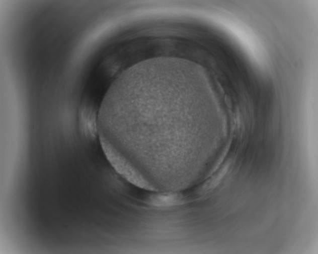 X0000102310479200808081611