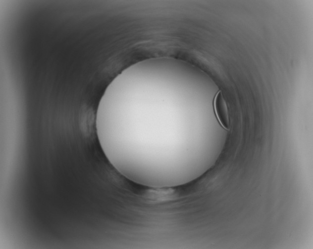 X0000102310480200808081611