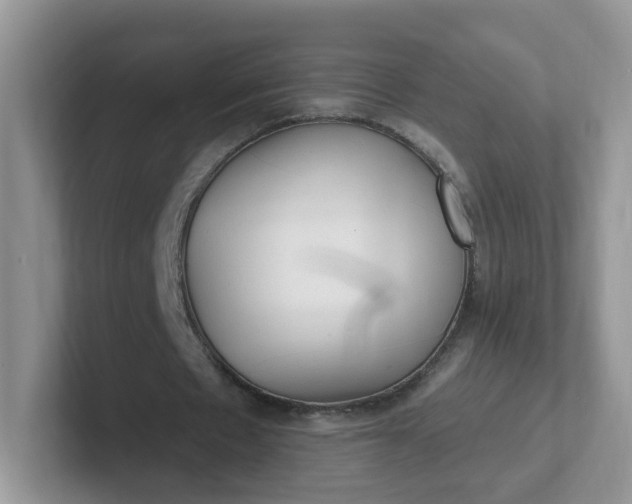 X0000102310481200808081610