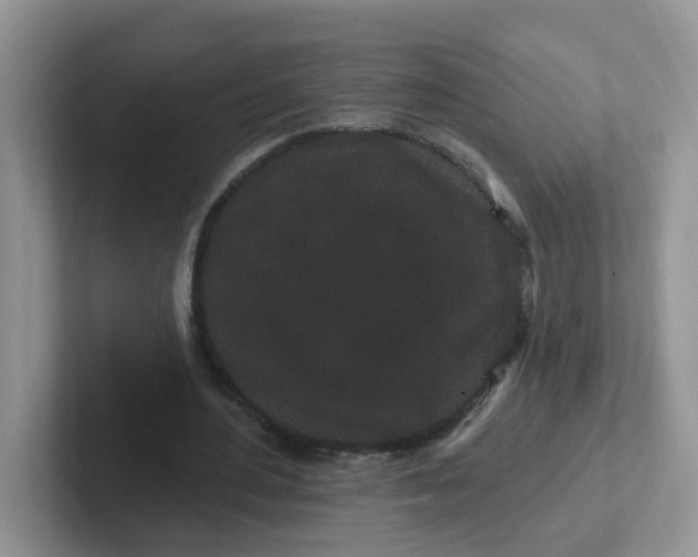 X0000102310484200808081610