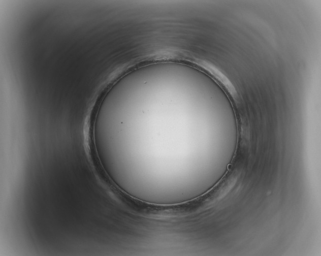 X0000102310485200808081610