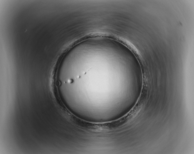 X0000102310487200808081610