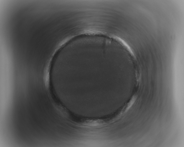 X0000102310488200808081610