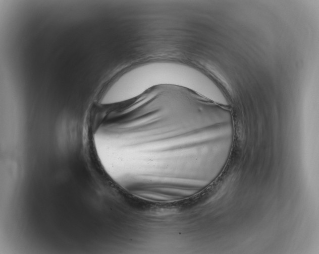 X0000102310491200808081610