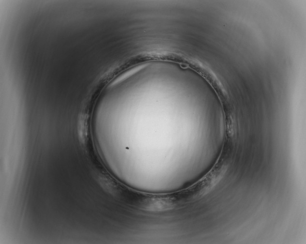 X0000102310495200808081610